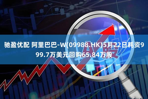 驰盈优配 阿里巴巴-W(09988.HK)5月22日耗资999.7万美元回购65.84万股