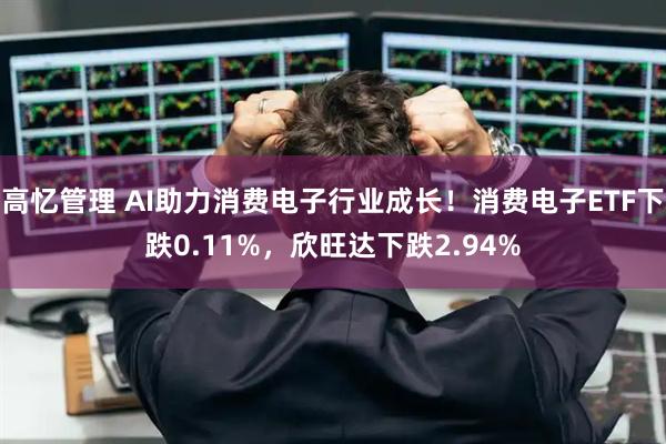 高忆管理 AI助力消费电子行业成长！消费电子ETF下跌0.11%，欣旺达下跌2.94%