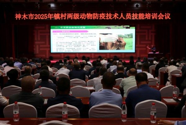 恒盛优配 陕西神木：加强动物防疫培训 筑牢畜禽免疫防线