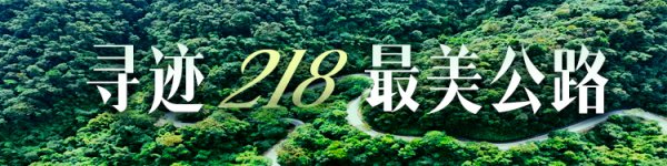 粤友钱配资 住进森林！在惠州这个驿站听溪水声入眠｜寻迹218最美公路㉘