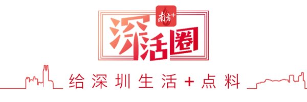 易云达配资 深中通道西人工岛首波测评来了！预约+路线一篇搞懂